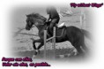 /album/fotos-de-caballos-/golden-jpg1/