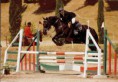 /album/fotos-de-caballos-/jinete-saltando-obstaculos-jpg1/