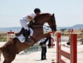 /album/fotos-de-caballos-/salto-jpg1/