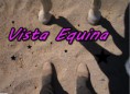 /album/fotos-de-caballos-/vistaequina-jpg2/