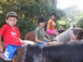 /album/fotos-de-caballos-/foto1-jpg/