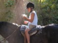 /album/fotos-de-caballos-/foto3-jpg/