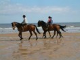 /album/fotos-de-caballos-/foto4-jpg/