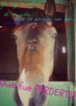 /album/fotos-de-rita-horses-agregenla-al-tuenti-/image-2-jpg/