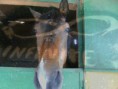 /album/fotos-de-rita-horses-agregenla-al-tuenti-/image-3-jpg/