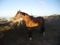 /album/fotos-de-rita-horses-agregenla-al-tuenti-/image-4-jpg/
