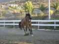 /album/fotos-de-rita-horses-agregenla-al-tuenti-/image-5-jpg/